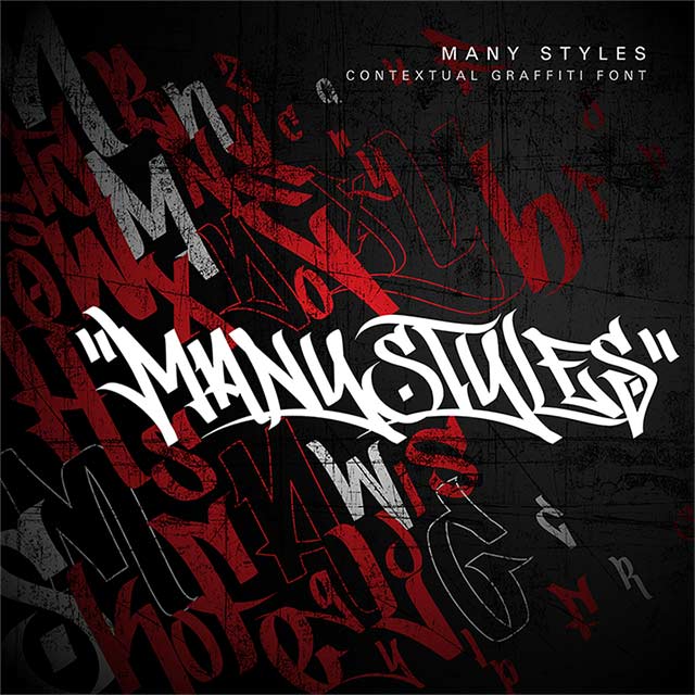 ManyStyles Poster